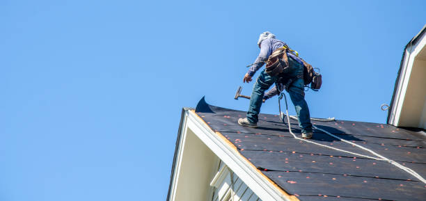 Best Roof Waterproofing Services  in Lodi, NJ